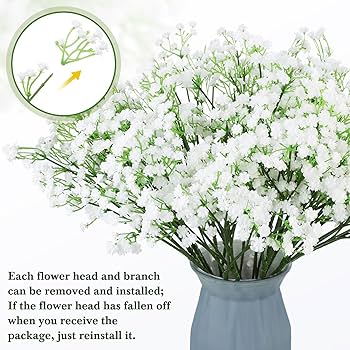GYPSOPHILA - miyaka 81-+cXwL-HL._UF350,350_QL80_.jpg